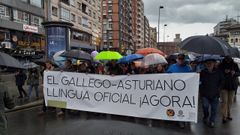 La manifestacin por la oficilidad en imgenes