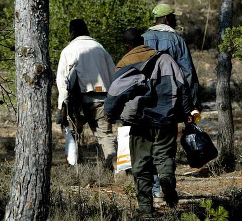 Tres inmigrantes se desplazan por las laderas del monte Gurug�. 