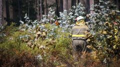 Imagen de un brigadista en Barbanza