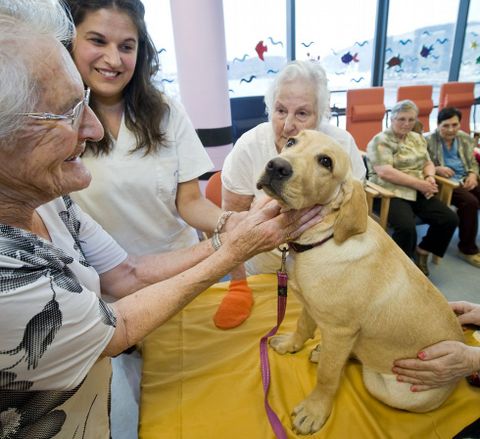 Usuarios del centro de AFAL con Nala. 