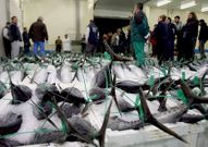 Cada bonito sale de Burela con su etiqueta identificativa.