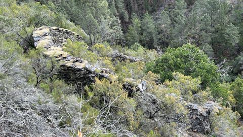 La alvariza est entre las aldeas de Gndaras y Barxa, cerca de la ruta de senderismo del Santo Bao