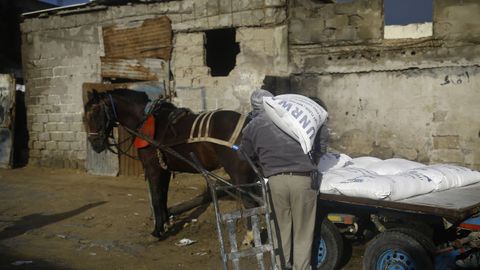 Un palestino junto a un carro tirado con un caballo que transporta donaciones de alimentos de Naciones Unidas en Gaza