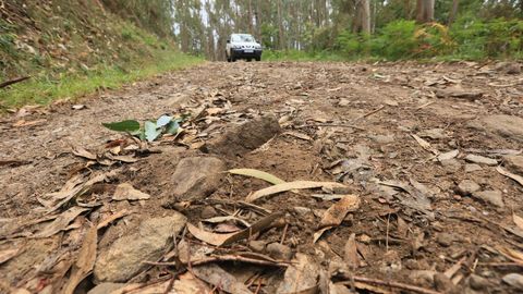 «Somos unha empresa». Rolle demanda que se arregle un tramo de un kilómetro de Pousadoiro a Cambela, y otro de 300 metros de Cambela a Randamil para poder sacar el ganado y que lleguen los veterinarios