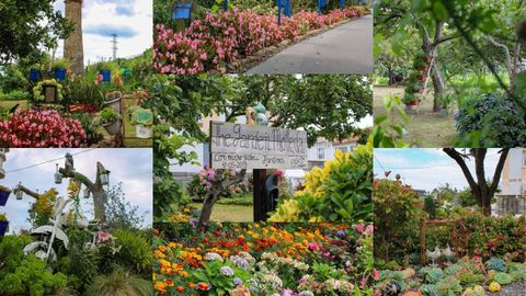 Compilaci�n de fotos de los jardines de Molleda