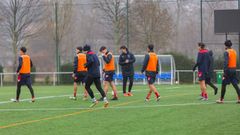 Los jugadores del Pontevedra durante un entrenamiento en A Xunqueira