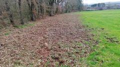 Os xabar�s removeron as terras nas fincas que o gandeiro Luis L�pez aproveita para pasto