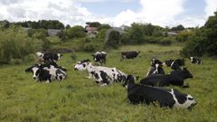 Medio Rural ha puesto en marcha una serie de medidas para que�sea m�s sencillo cumplir con los requisitos de la PAC