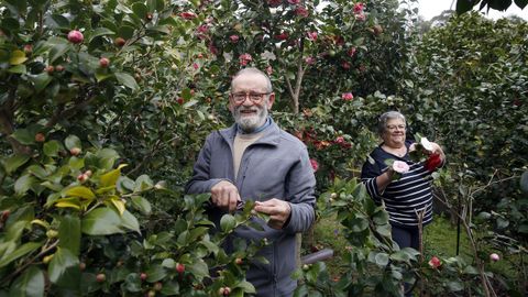 Jos Ramn Teixeira y Marisol Camen tienen su finca en el lugar de Os Vilares.