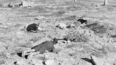 Un grupo de personas muertas�durante la Guerra Civil