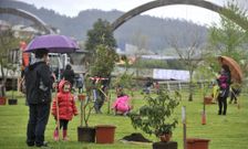 Imagen de la plantaci�n impulsada por la asociaci�n juvenil Croio el pasado fin de semana. 
