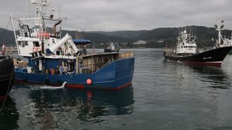 Tras arribar a Celeiro el jueves, la veintena de barcos vascos y c�ntabros que faenan con cebo vivo regresaron ayer a los caladeros.
