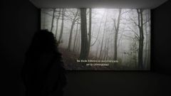 La muestra cuenta con cuatro piezas visuales