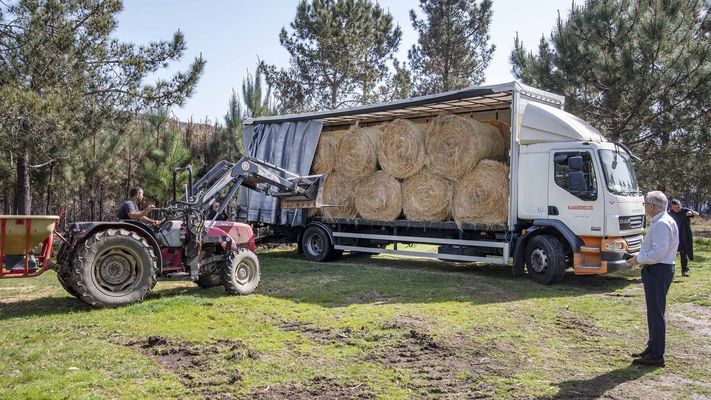 El primer cami�n con paja para las vacas lleg� ayer al monte de Ponteareas