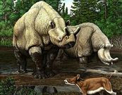 Mam�feros prehist�ricos.