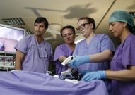 Los doctores Aguirrezabalaga y Noguera, con dos participantes. 