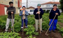 De izquierda a derecha, Rub�n, Mar�a Jes�s, Francisco y Carlos trabajando en la plantaci�n de patatas en la finca de Cambados.
