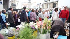 BETANZOS
FERIA DE SANTOS