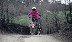 Mnica Tourio, con Lara e con Brisca camio do ttulo asturiano. 