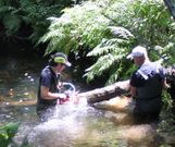 Imagen de la tala de �rboles secos en el cauce fluvial.
