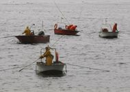El sector marisquero de a flote es uno de los m�s afectados por la falta de dragado del L�rez. 