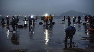 Mariscadoras en abril en A Seca, en Poio, en la r&iacute;a de Pontevedra
