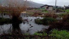Una de las fincas inundadas en O Aguill�n de A R�a
