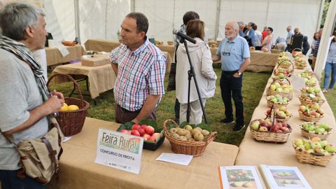 O concurso de froita de San Sadurnio