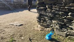 Una bolsa con excrementos de perros en el adarve de la Muralla