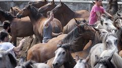 Rapa das bestas en Amil