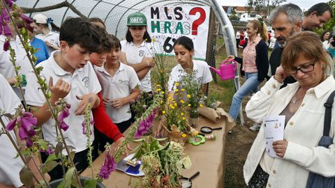 Premio provincia de Pontevedra: CPR Divino Salvador. �Coidemos o planeta�. O ga�ador � un centro de Coruxo, en Vigo, cun proxecto cooperativo, con moitas colaboraci�ns como a da comunidade de montes local para unha plantaci�n de 160 �rbores. Presentaron os seus xard�ns e a s�a horta �s familias e estudaron a fauna e flora intermareal, entre outras moitas actividades.