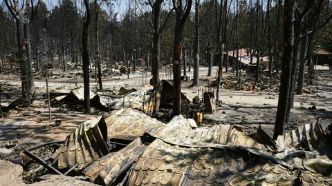 Un �rea quemada en el Parque Natural del Valle de Irruelas, arrasado por el incendio de Burgohondo, en �vila