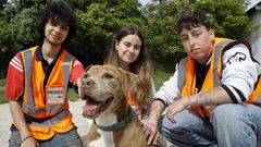 Cuando los perros potencialmente peligrosos cambian vidas (para bien)