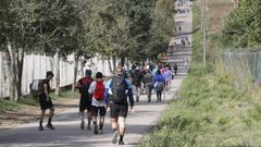El atractivo del Camino sigue ganando adeptos. En la imagen, peregrinos en el tramo final el pasado mes de septiembre.