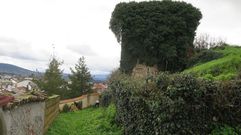 Torre de la muralla tapada por la vegetacin en las cercanas de la Porta Nova