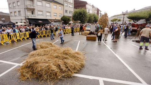 Meira reivindic� los trabajos acestrales del campo en una nueva edici�n de la Festa da Malla.