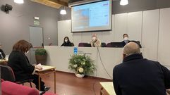El edil del PP, Antonio Melo, particip� en el pleno por videoconferencia
