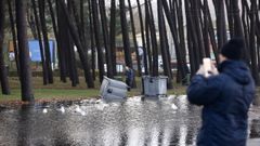 Ana convirti� el p�rking de Samil en una piscina para gaviotas