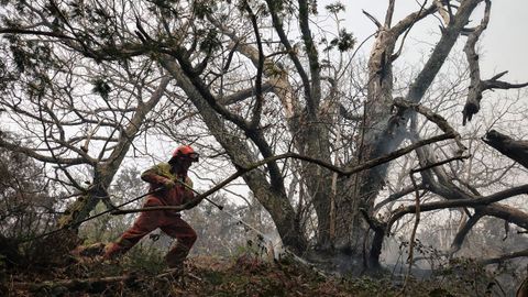 Bomberos de Asturias trabajan en las labores de extinci�n en un incendio foresta