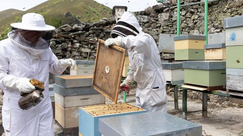Floreziendo, proyecto de ENTAMA, iniciativa de EDP