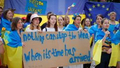Manifestantes a favor de la entrada de Ucrania en la Unin Europea, a las puertas de la sede del Consejo de Europa en Bruselas