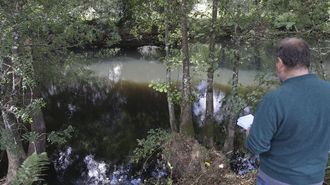 Imagen del r�o Leng�elle en la ma�ana del pasado jueves, a su paso por el �rea recreativa de A Pontraga,�tras superar una barrera anticontaminaci�n