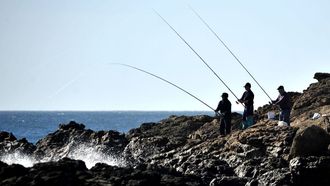 Aficionados lanzando las caas para pescar en un tramo de la costa gallega (foto de archivo)