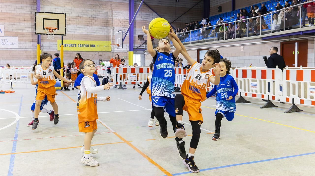 Medio millar de participantes en el 11.º Día do Pequebasket