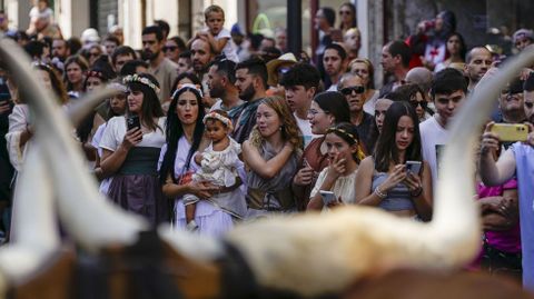 Ribadavia celebra la Festa da Istoria