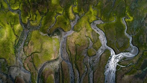 El estuario del Eume tambin forma parte del proyecto