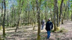 Una visita organizada dentro del proyecto ForestED a un bosque de robles de la parroquia de Laiosa, del que se extrajo madera que se utiliz� para crear piezas constructivas de car�cter experimental 