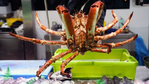 Marisco en el Mercado del Font�n, en Oviedo