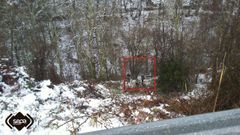 Un hombre resulta herido tras salirse de la v�a en cabrales