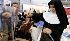 <span lang= es-es >El desmantelamiento</span>. Es habitual que, al cierre de la feria, muchos de los expositores donen los productos que han tenido expuestos en la feria a las entidades ben�ficas. Las donaciones de marisco, bacalao, merluza... surtir�n a 200 comensales durante varios d�as.